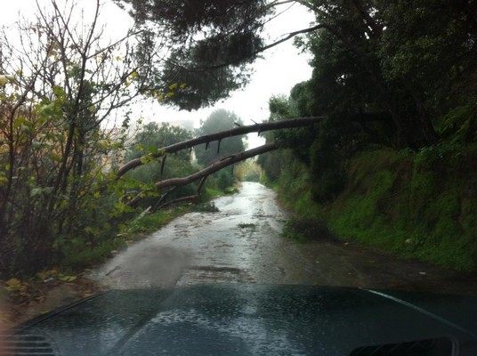 Storm hits Lebanon